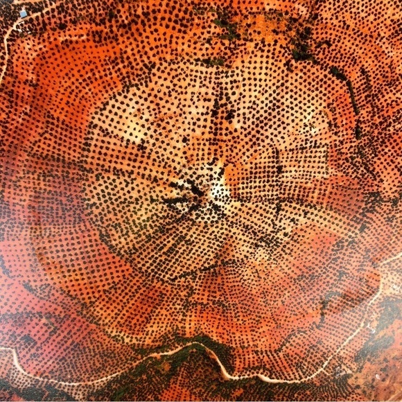 Edward Burtynsky Limited Edition Plate  Olive Groves Jaen Spain MOCCA Award 2011 - Picture 4 of 12